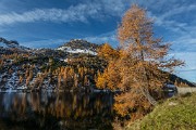 _MG_8901