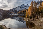 _MG_8952