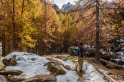 _MG_8993