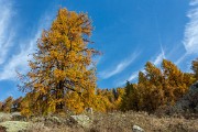 _MG_9042