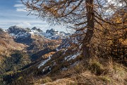 _MG_9064