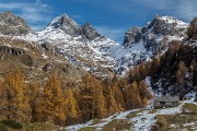 _MG_9091