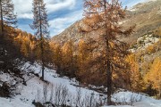_MG_9093