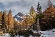 _MG_9103