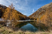 _MG_9132