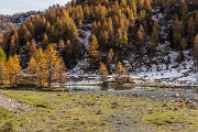 _MG_9194