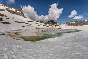 _MG_1124