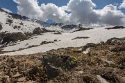 Domenica 17 Maggio 2015 – Laghi di Val Cerviera- FOTOGALLERY