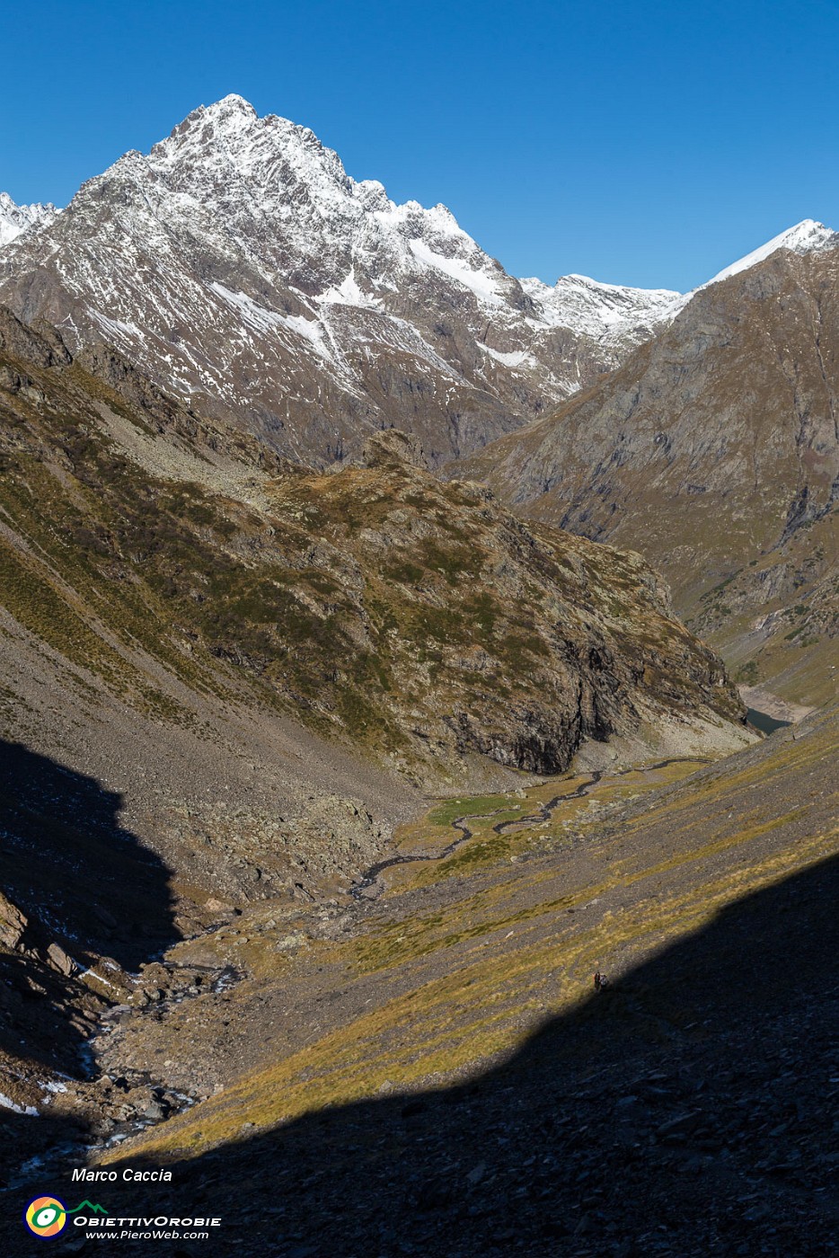 _MG_2971.JPG