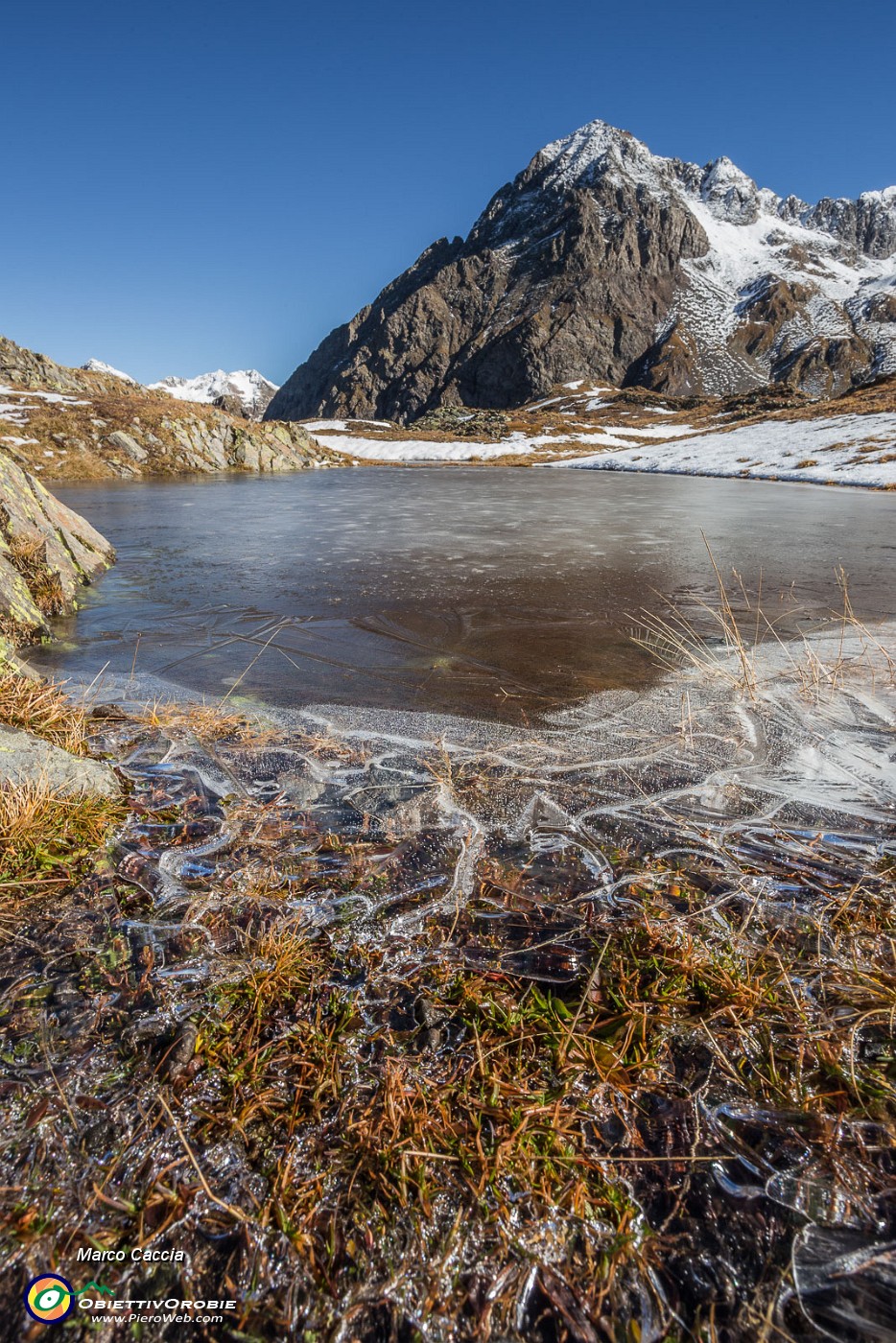 _MG_3031.JPG