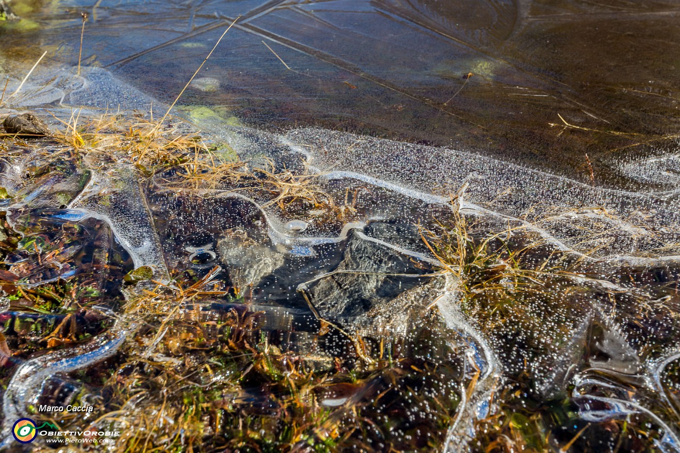 _MG_3033.JPG