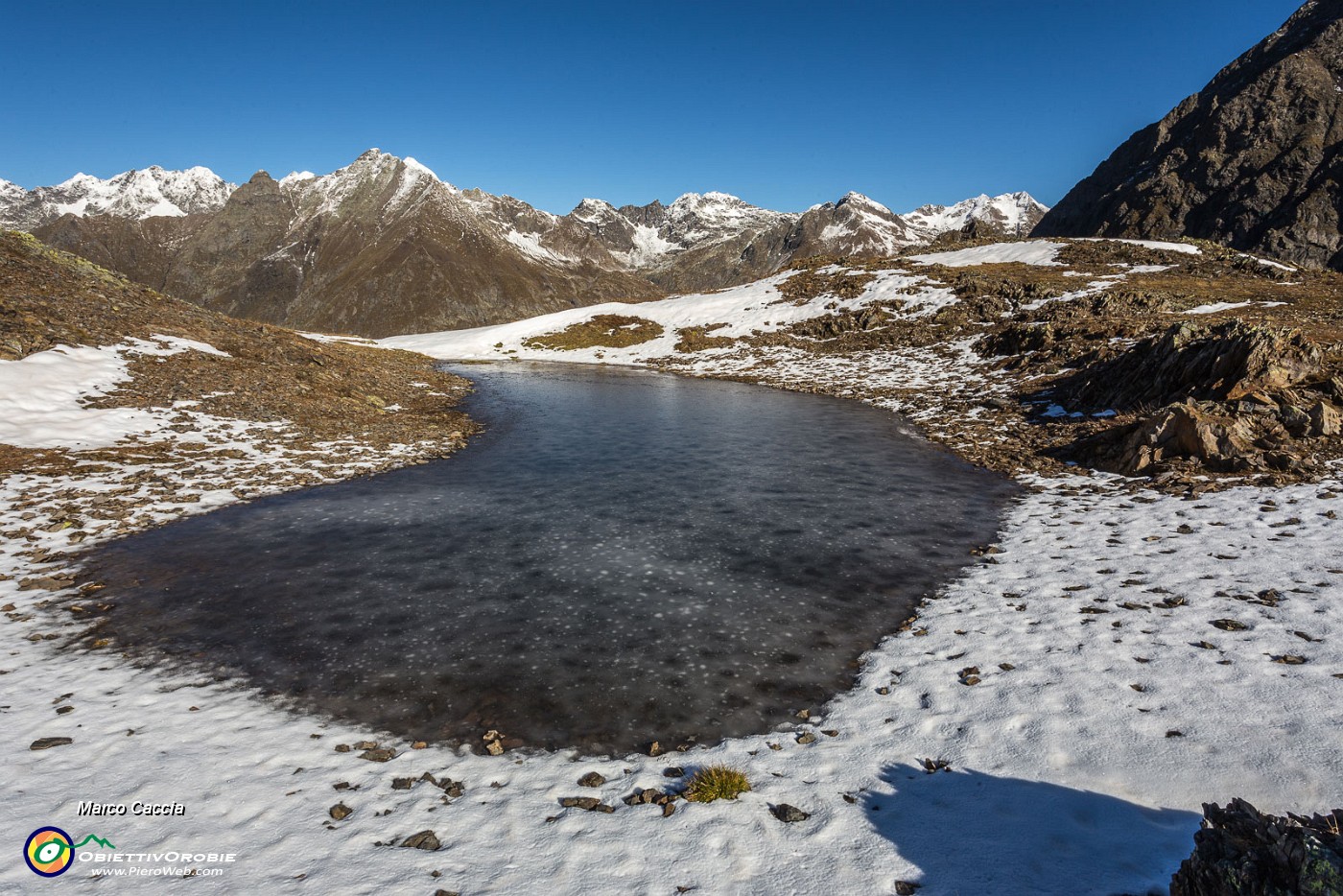_MG_3037.JPG