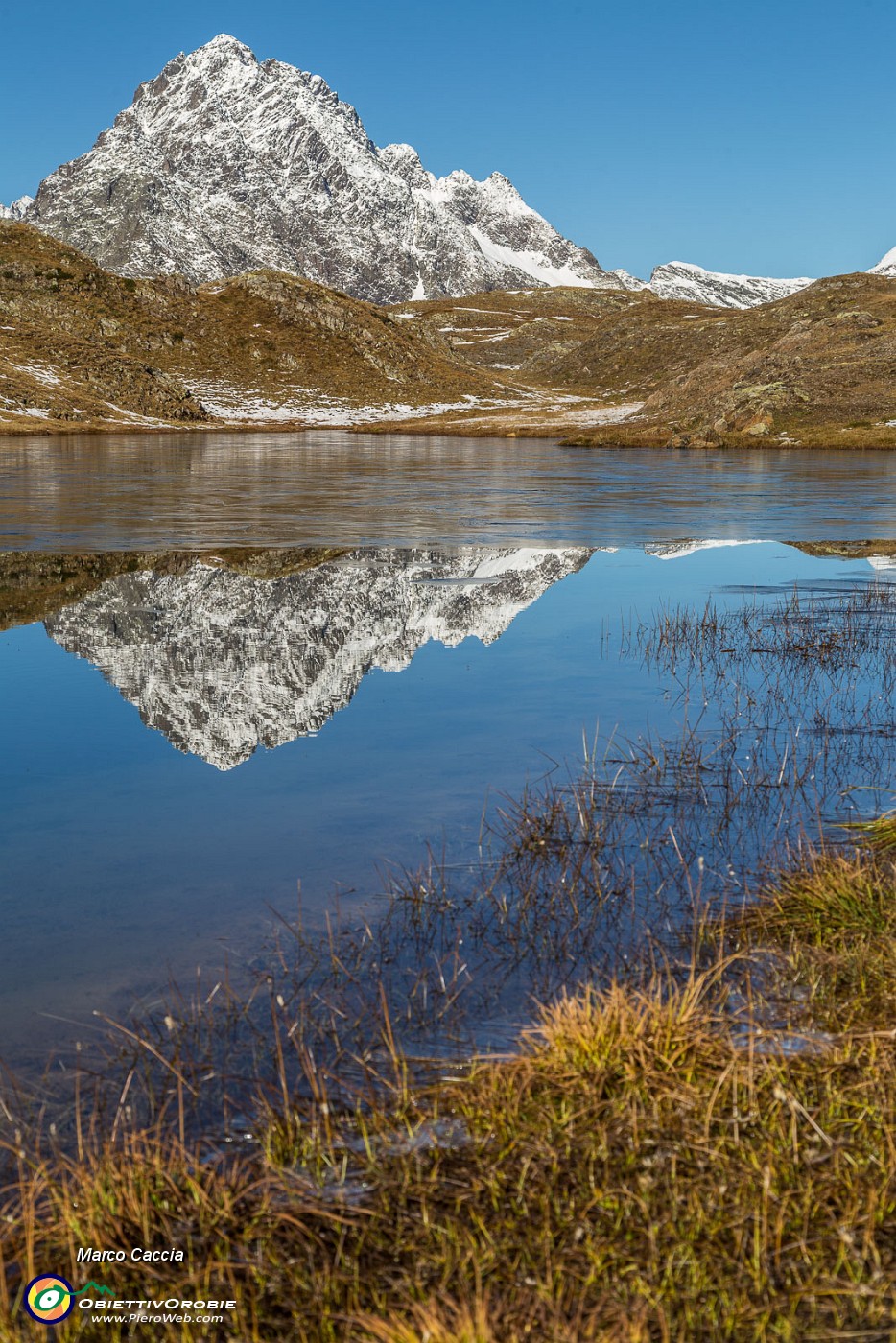 _MG_3081.JPG