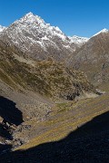 _MG_2971