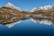 _MG_2975