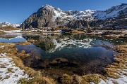 _MG_2984