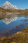 _MG_3081