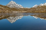 _MG_3088