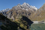 _MG_3118