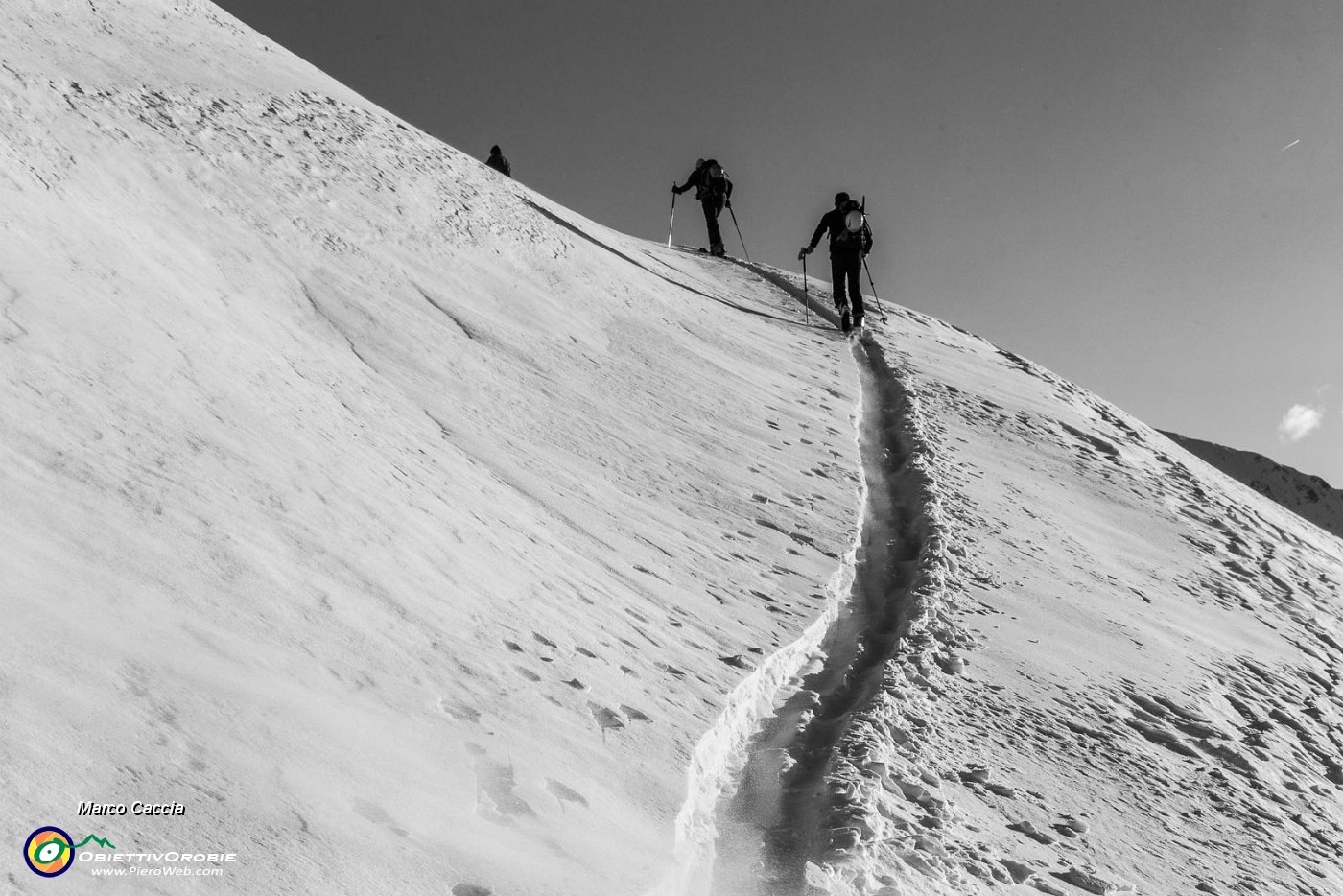 _MG_4703.JPG