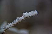 IMG_4435_resize