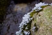 IMG_4448_resize