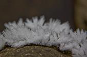 IMG_4457_resize