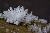 IMG_4469_resize
