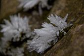 IMG_4496_resize