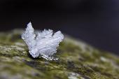 IMG_4504_resize