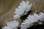IMG_4506_resize