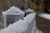 IMG_4510_resize