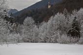IMG_4520_resize