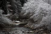 IMG_4532_resize