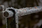 IMG_4554_resize