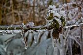IMG_4590_resize