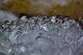 IMG_4594_resize