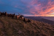 17 e 18 novembre 2015 – La magia della nebbia Tra Linzone e Canto Alto  - FOTOGALLERY