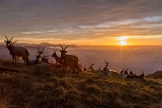 17 e 18 novembre 2015 – La magia della nebbia Tra Linzone e Canto Alto  - FOTOGALLERY