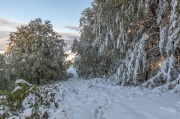 24 maggio 2013 – Il magico tramonto dell'inverno estivo dal Linzone - FOTOGALLERY