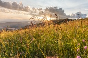 Martedì 25 giugno 2013 – Tramonto al Monte Linzone  - FOTOGALLERY