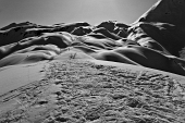 14_Dune