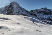 _MG_0293