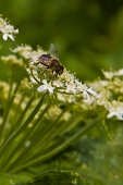 IMG_3008_resize