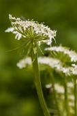 IMG_3014_resize