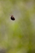 IMG_3107_resize