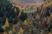ValFraina-Mellasc-ValVarrone-38
