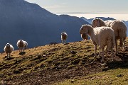 Sabato 31 Dicembre 2016 – M.te Menna - FOTOGALLERY