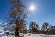 _MG_8110