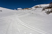 _MG_8113